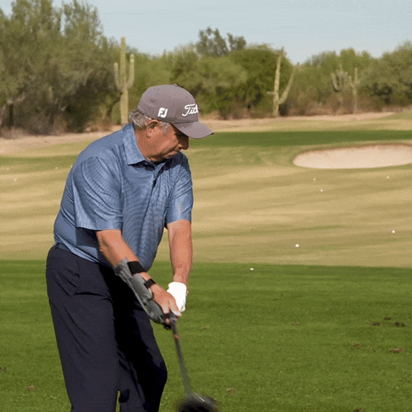 Precision Impact – stripefg Precision Impact – stripefg